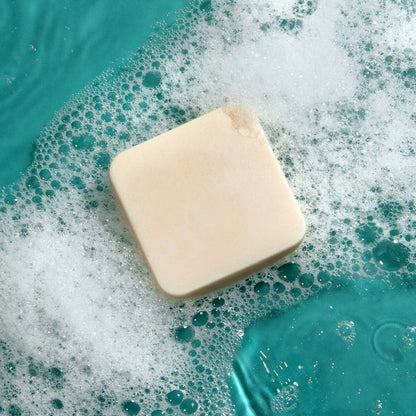 The Dip Shampoo Bar – Salon-Grade Shampoo for All (Large)