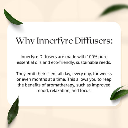 Energize - Eucalyptus Reed Diffuser by Innerfyre 100ml