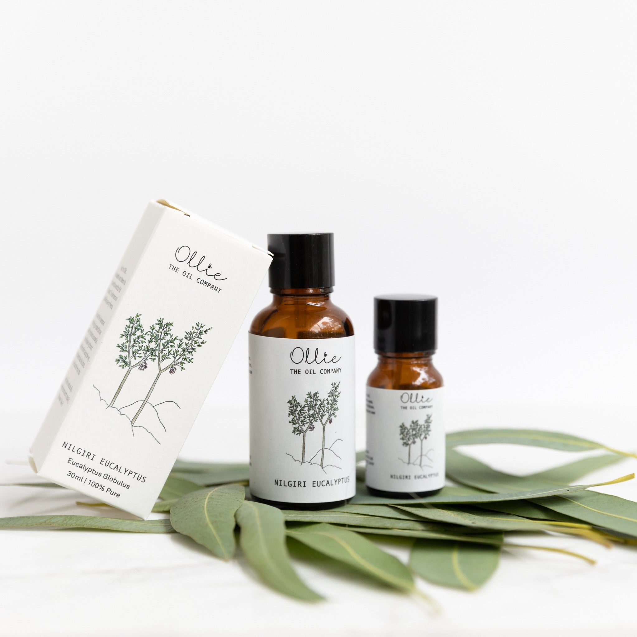 Ollie Nilgiri Eucalyptus Oil | Skincare Oils | The Green Collective SG