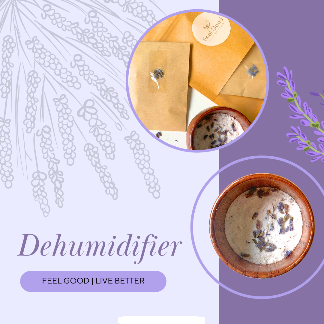 Feel Good Dehumidifier + Dehumidifier Cup Bundle