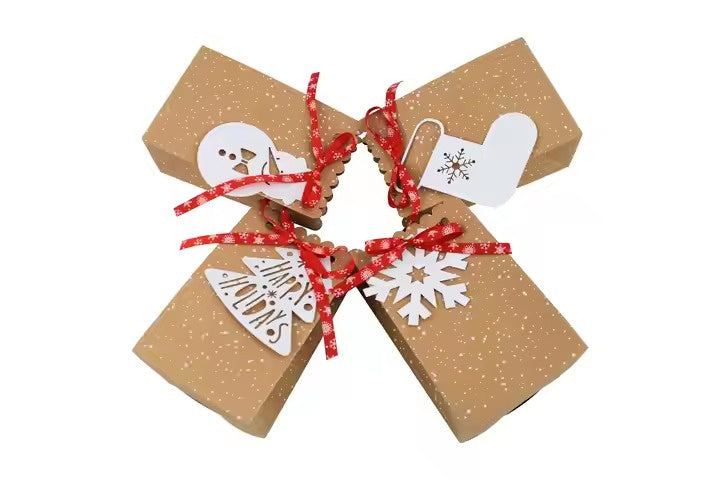 Christmas Paper Gift Bags With Ribbons (assorted designs)