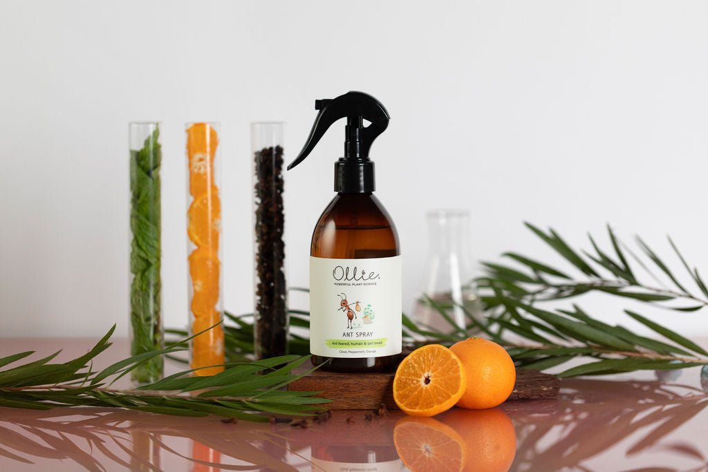 Ollie Ants Off Natural Spray