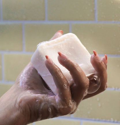 The Dip Shampoo Bar – Salon-Grade Shampoo for All (Large)