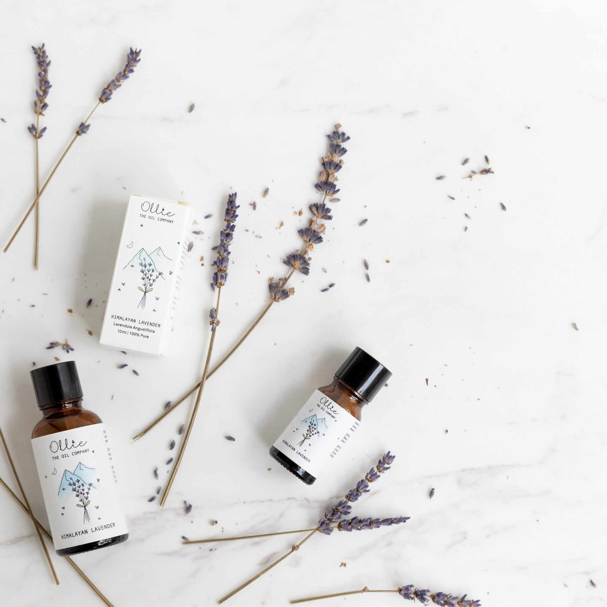 Ollie Himalayan Lavender Oil | Skincare Oils | The Green Collective SG