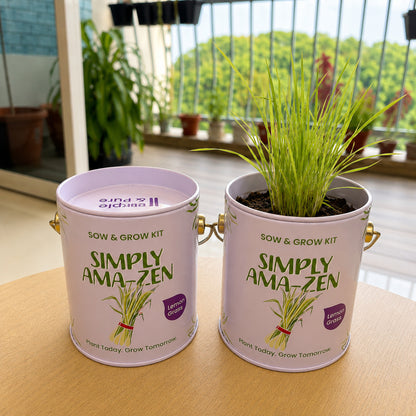 Purple & Pure Sow & Grow Starter Kit (Mini) - Grow your own herbs at home