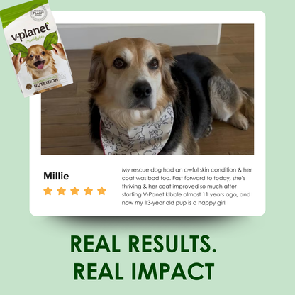V-Planet Mini Bites (V-Dog) - Premium Vegan Dog Food