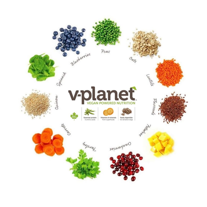 V-Planet Mini Bites (V-Dog) - Premium Vegan Dog Food