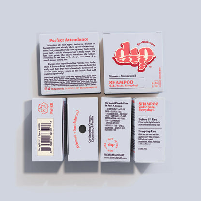 The Dip Shampoo Bar – Salon-Grade Shampoo for All (Large)
