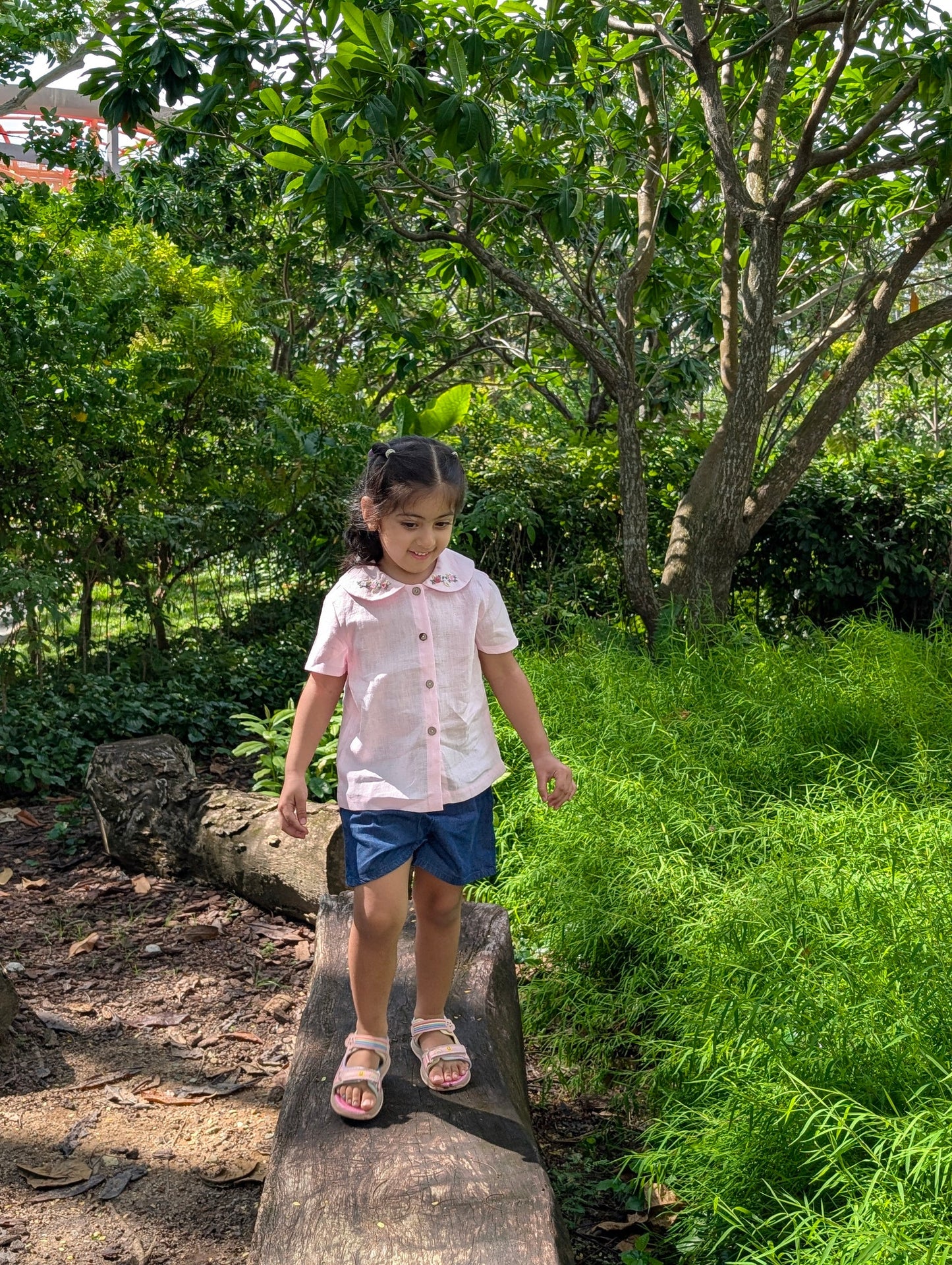 The Purestitch Collared Daisy Pink Shirt