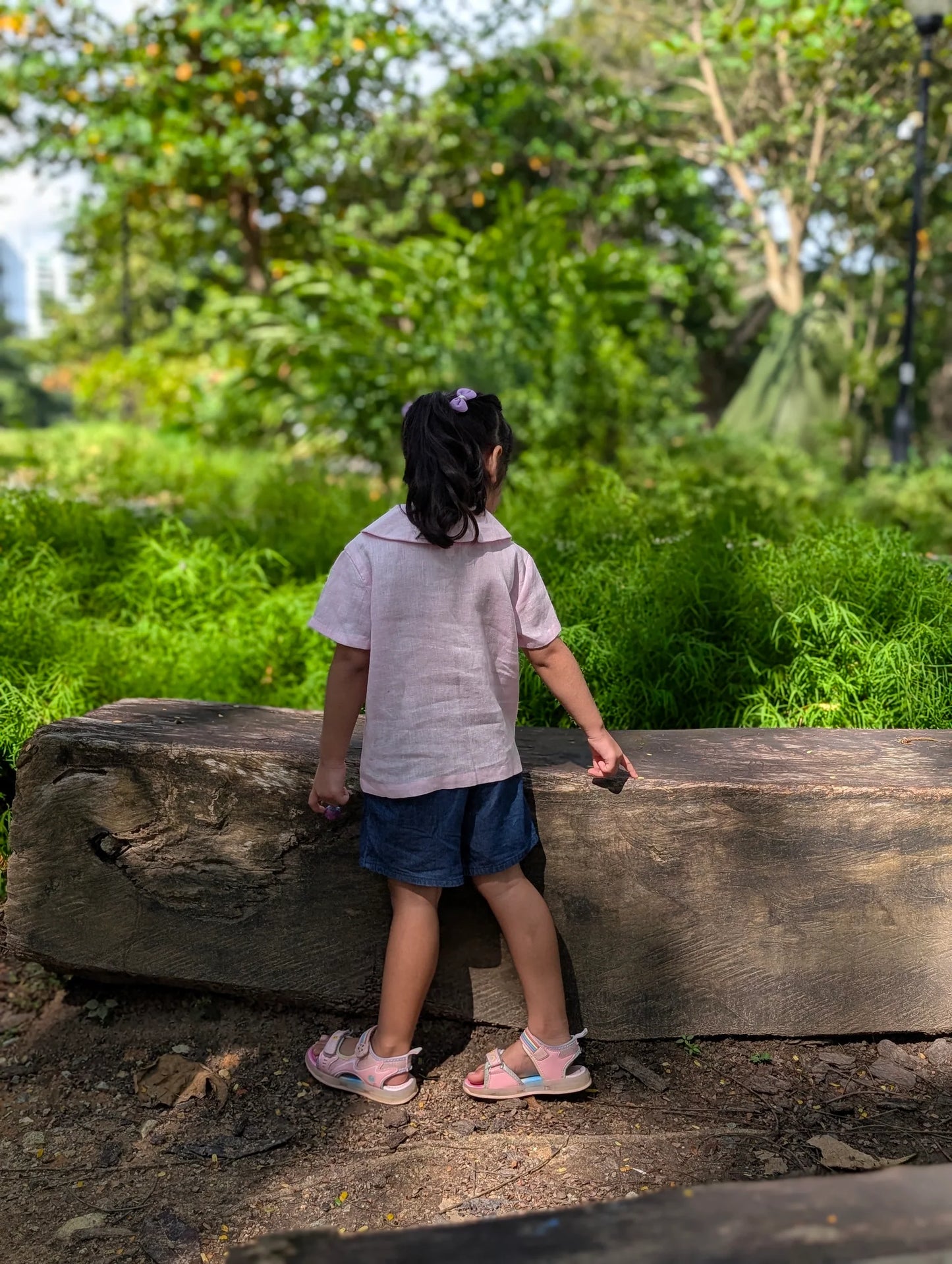 The Purestitch Collared Daisy Pink Shirt