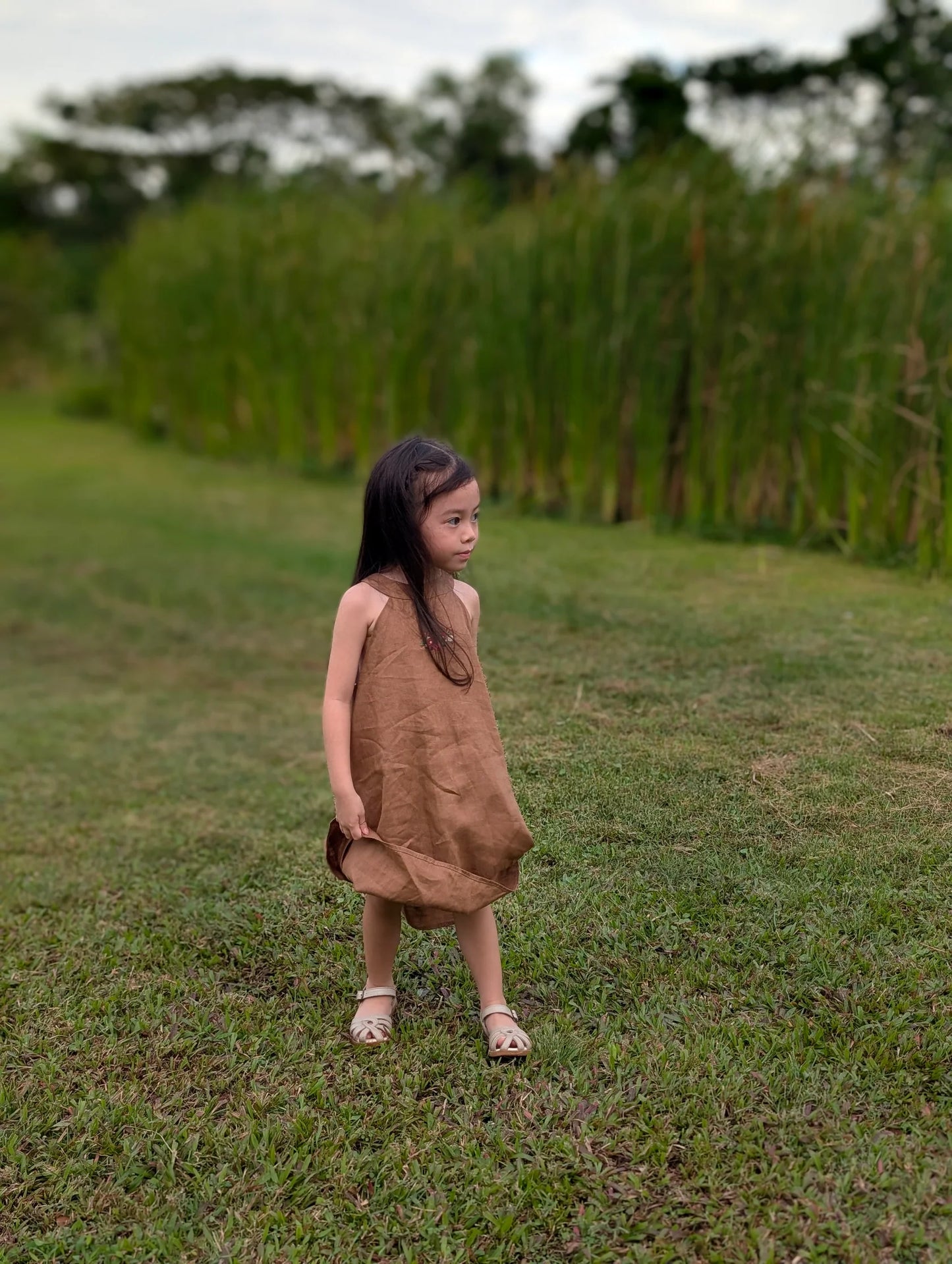 The Purestitch Earthy Grace A-line Silhouette Dress