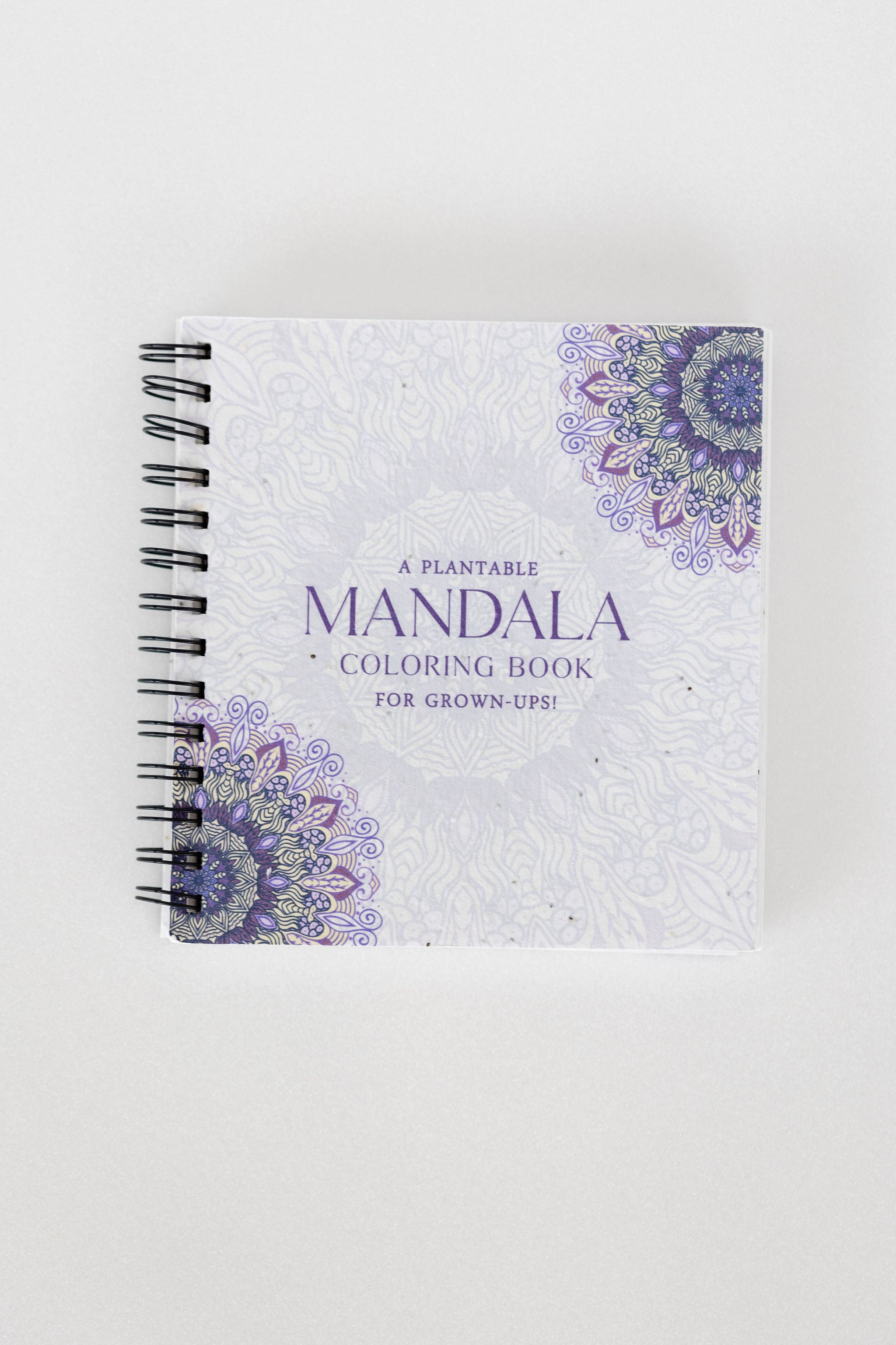 Purple & Pure Plantable Mandala Colouring Gift Set