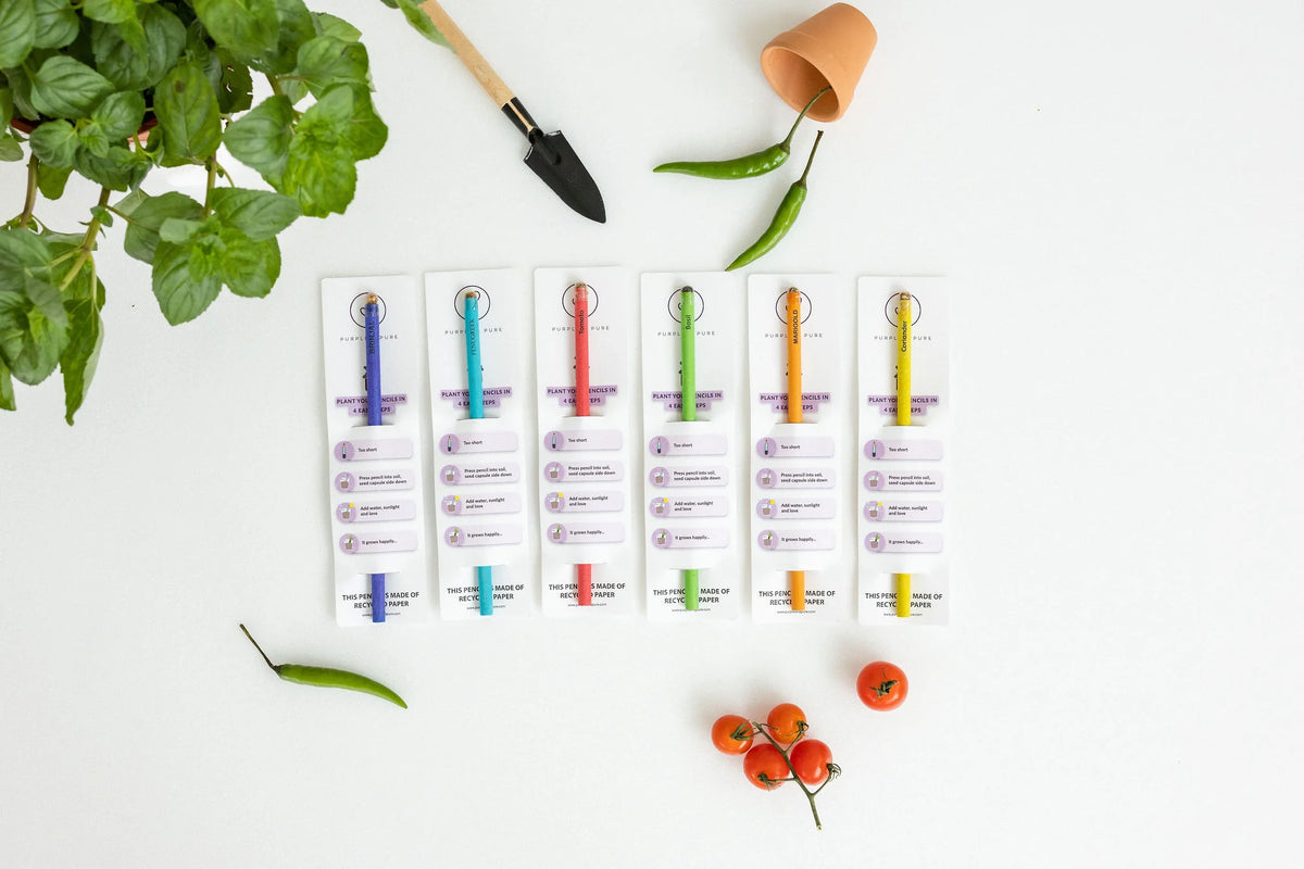 Purple & Pure Eco-Friendly & Plantable Seed Pencils