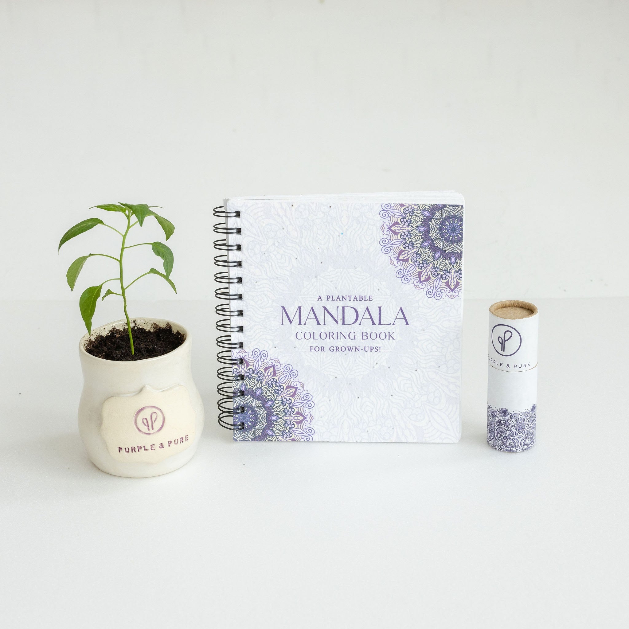 Purple & Pure Plantable Mandala Colouring Gift Set