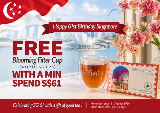 Tplays Glass Filter Cup + Pouch