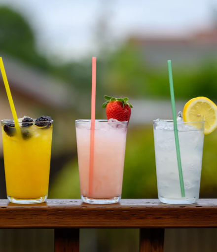 EQUO Rice Straw Standard Size 50ct pack | Tableware | The Green Collective SG