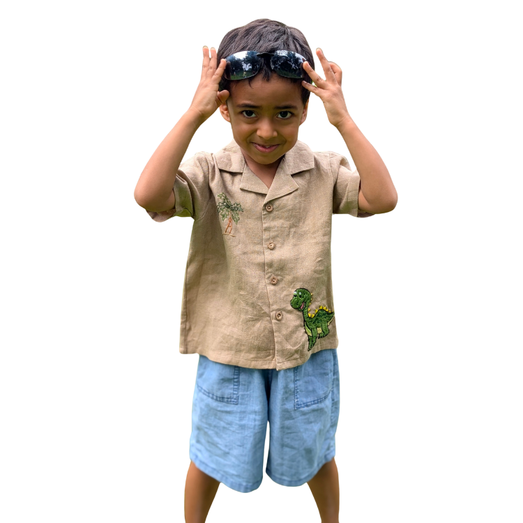 The Purestitch Brown Dinosaur Shirt