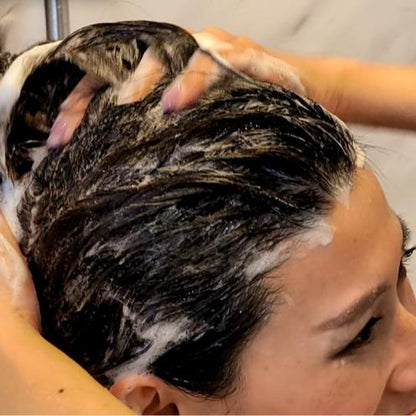 Patrichory Daily Indulgence Shampoo Bar For Normal or Dry Hair