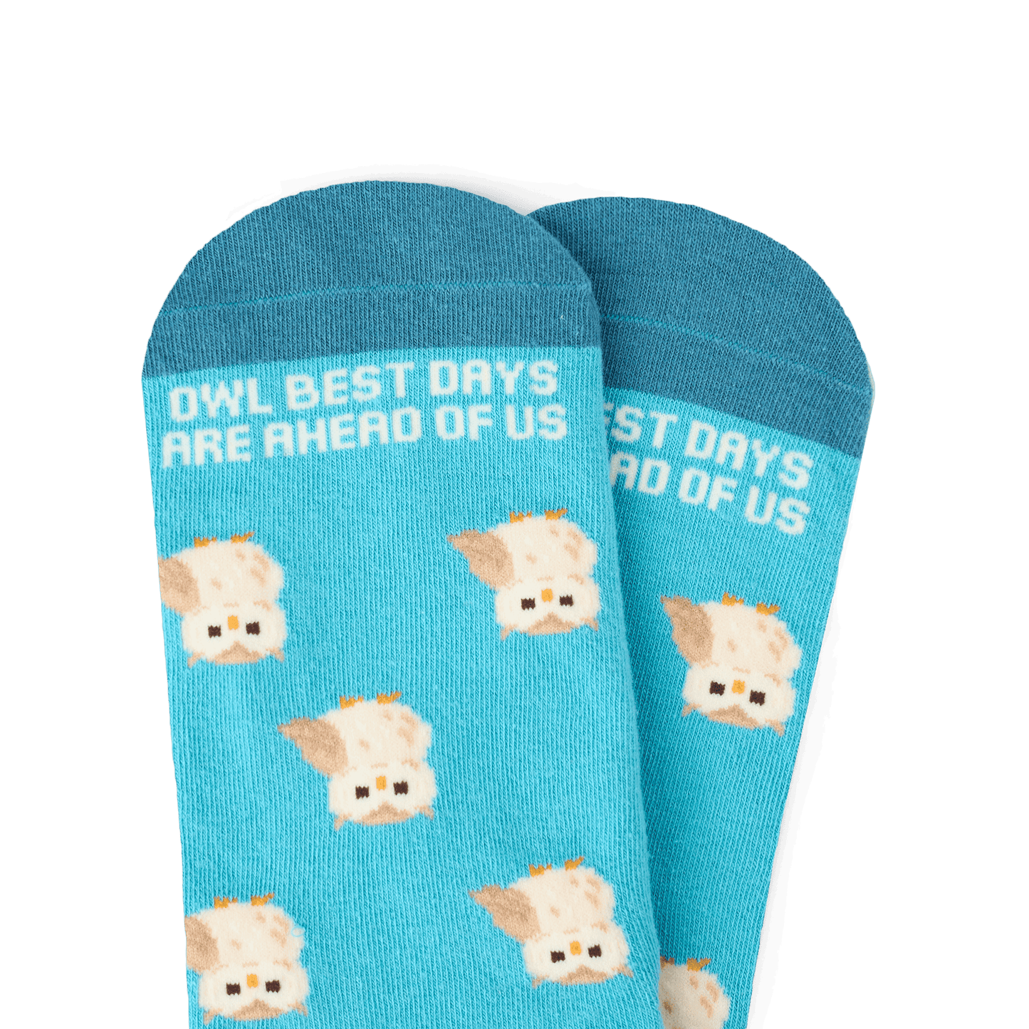 Talking Toes Owl Be Okay Crew Socks