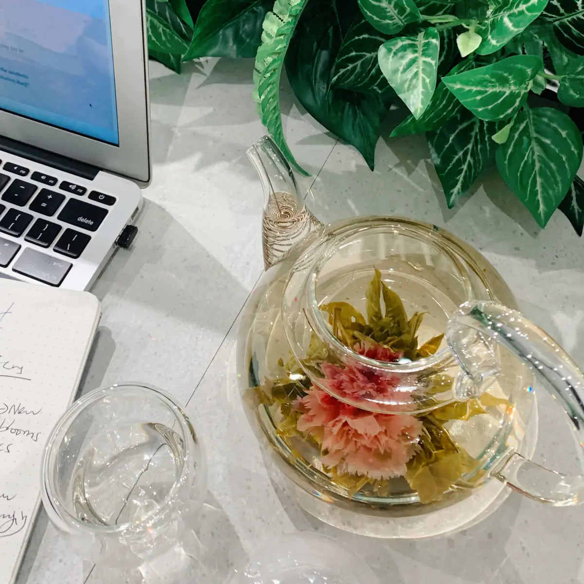 Petale Tea Petite Tin - Peachy Mango