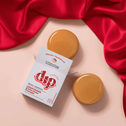 The Dip Conditioner Bar – Salon-Grade Conditioner for All Hair Types( Mini)