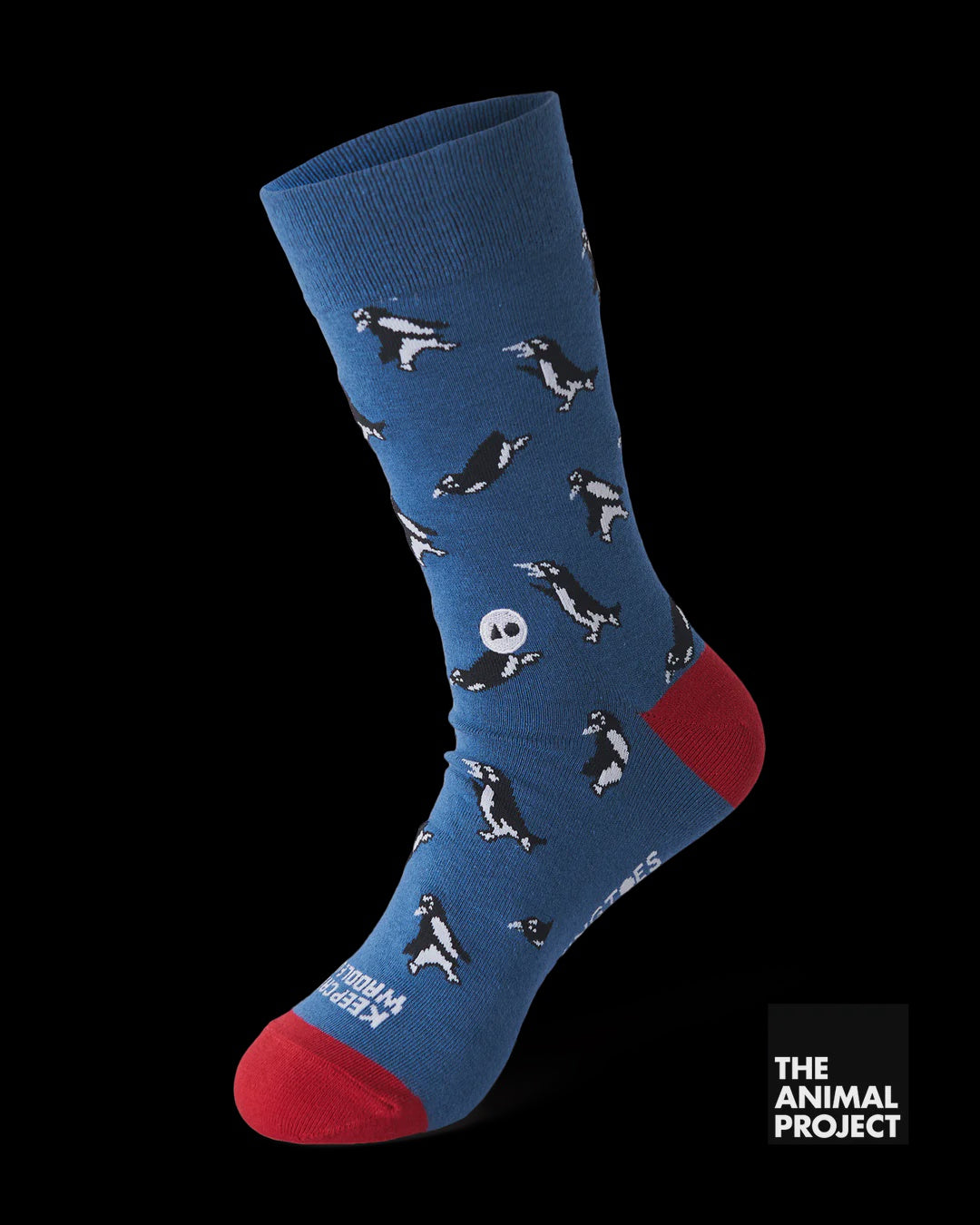 Talking Socks Socks