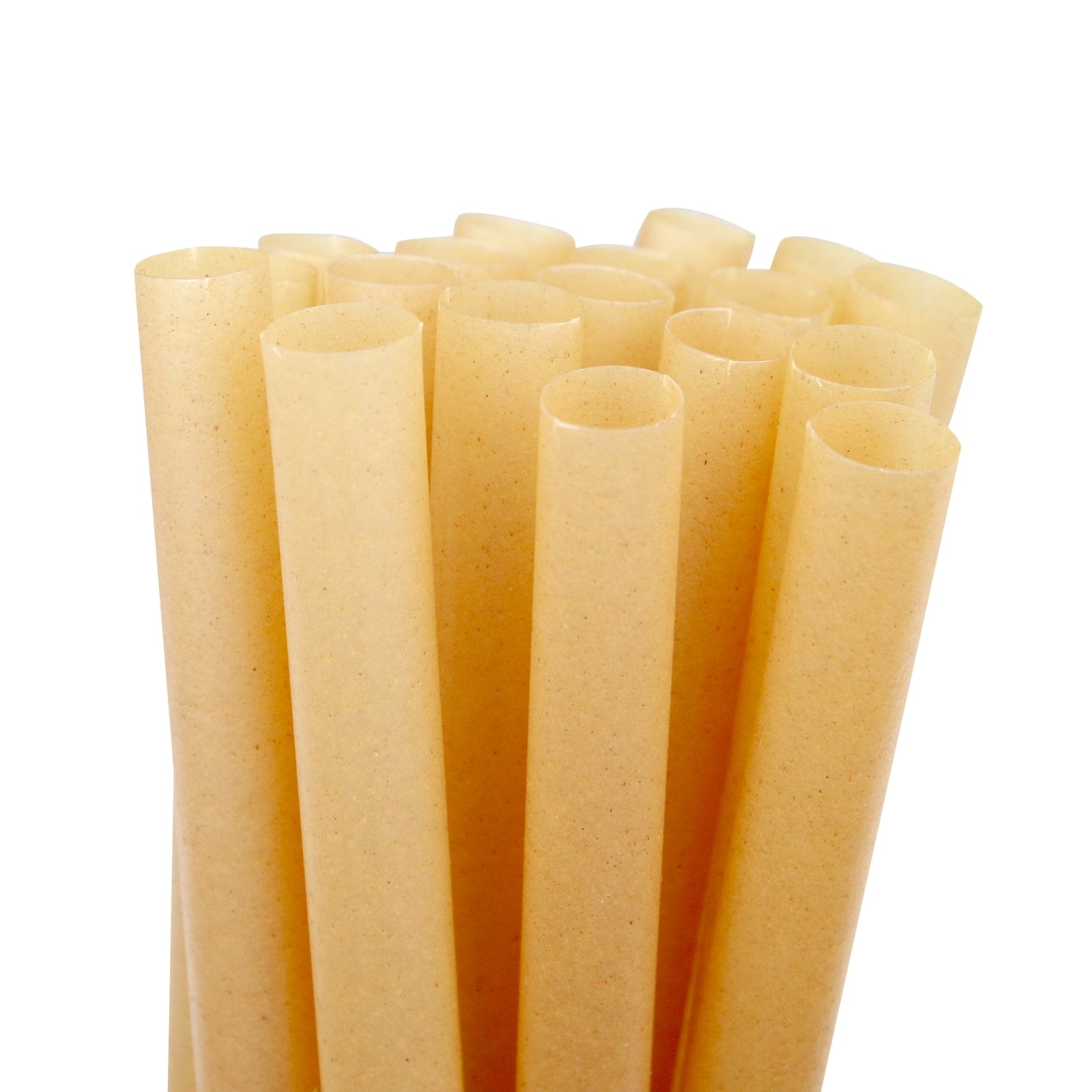 Sugarcane Straws by Equo | Purchase at The Green Collective