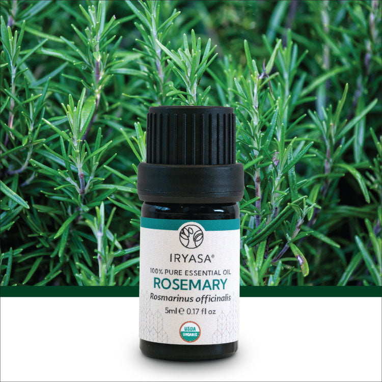 Iryasa Mini Essential Oils 5ml | Purchase at The Green Collective