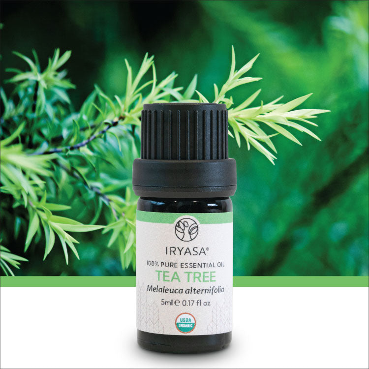 Iryasa Mini Essential Oils 5ml | Buy at The Green Collective