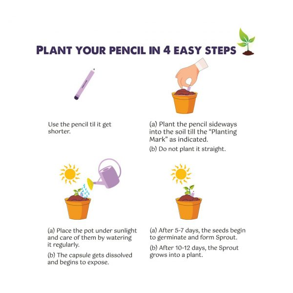 Plantable Seed Pens - Gift Box