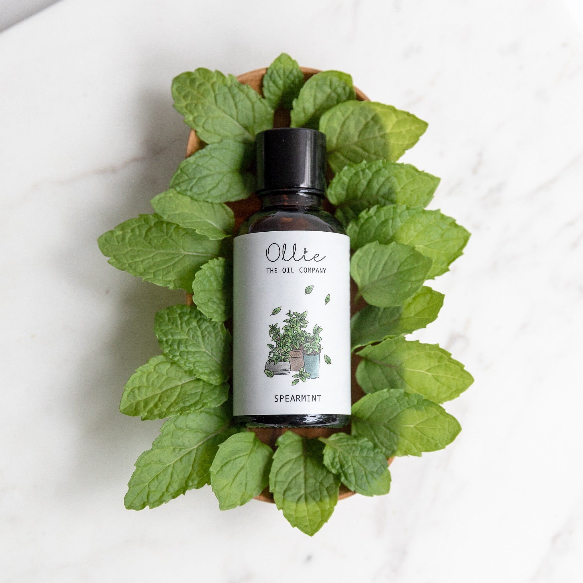 Ollie Spearmint Oil | oral care | The Green Collective SG