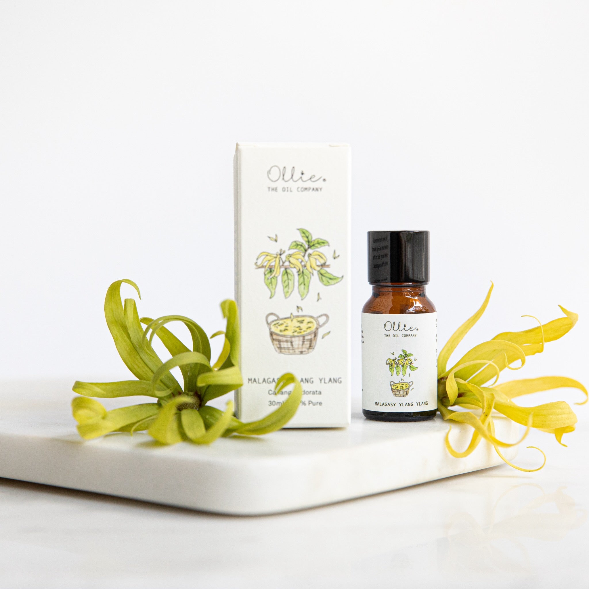 Ollie Malagasy Ylang Ylang Oil | Home fragrances | The Green Collective SG